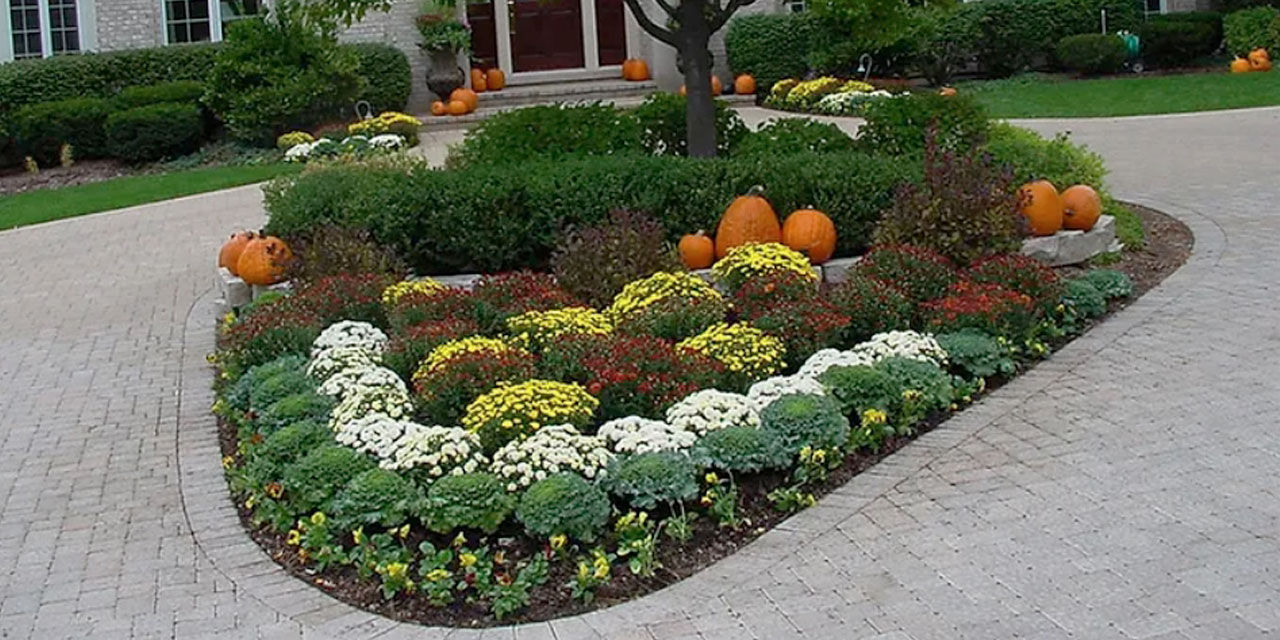  Plumbing Services: fall-plantings