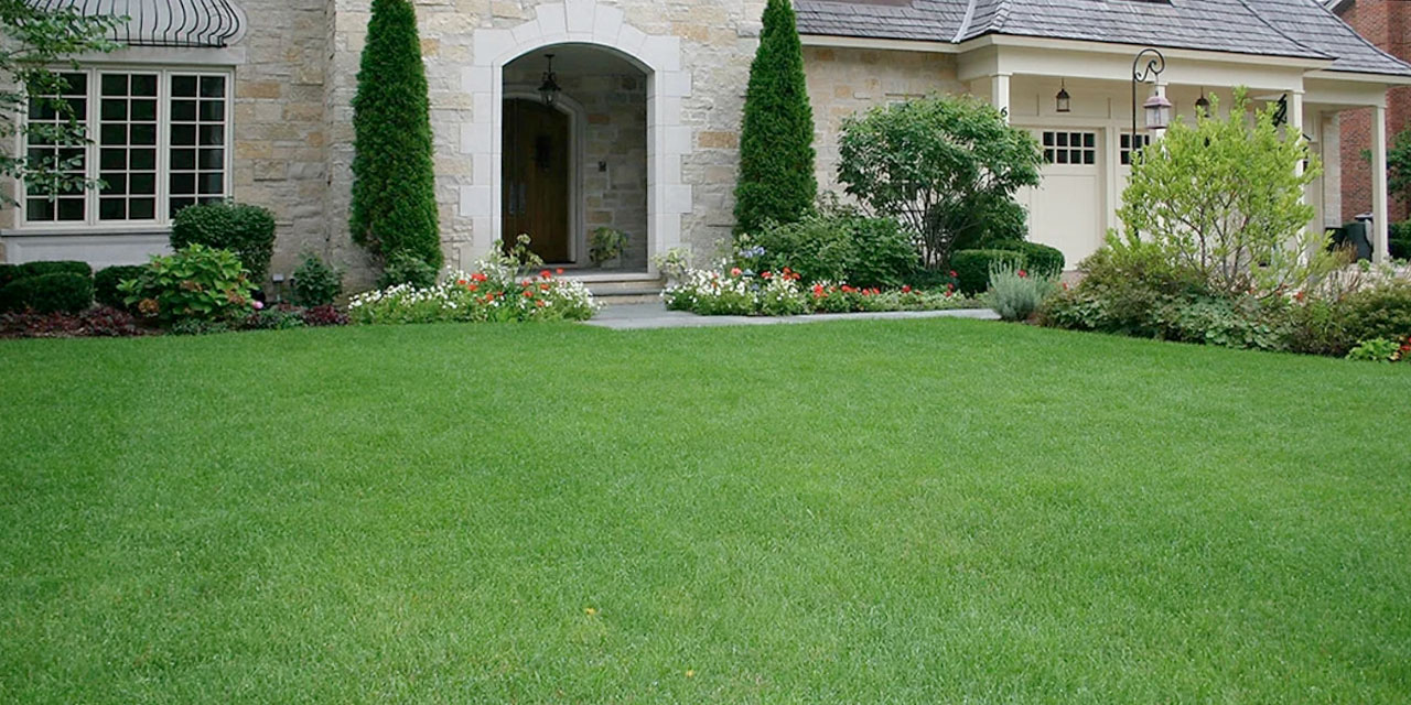  Plumbing Services: maintenance