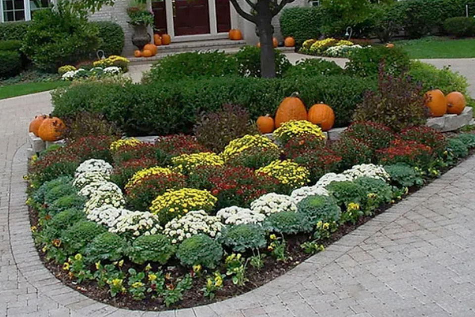 Fall Plantings