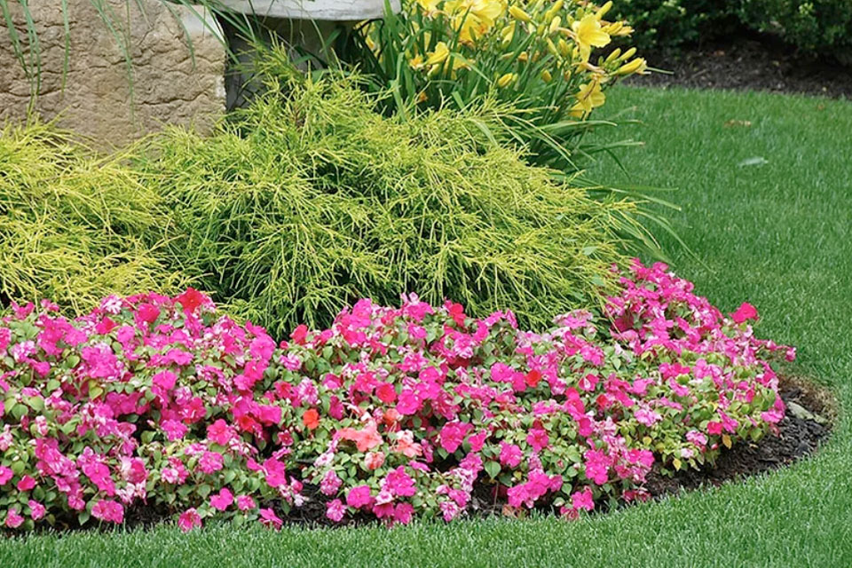 Landscape Installations